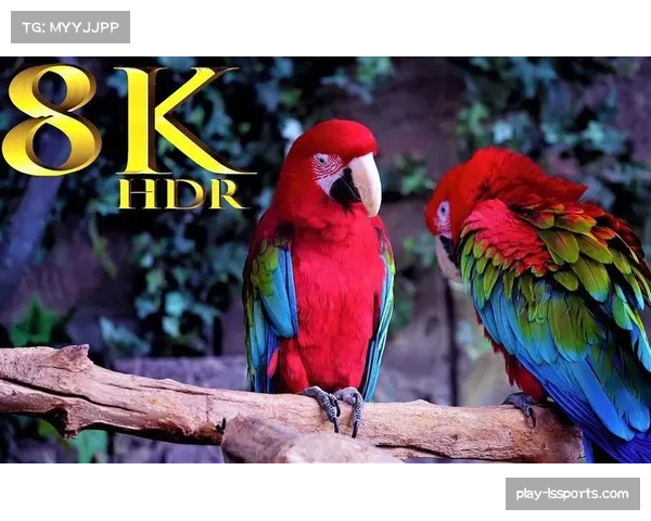 多特蒙德主场信号制作团队采用全新8K HDR制播标准